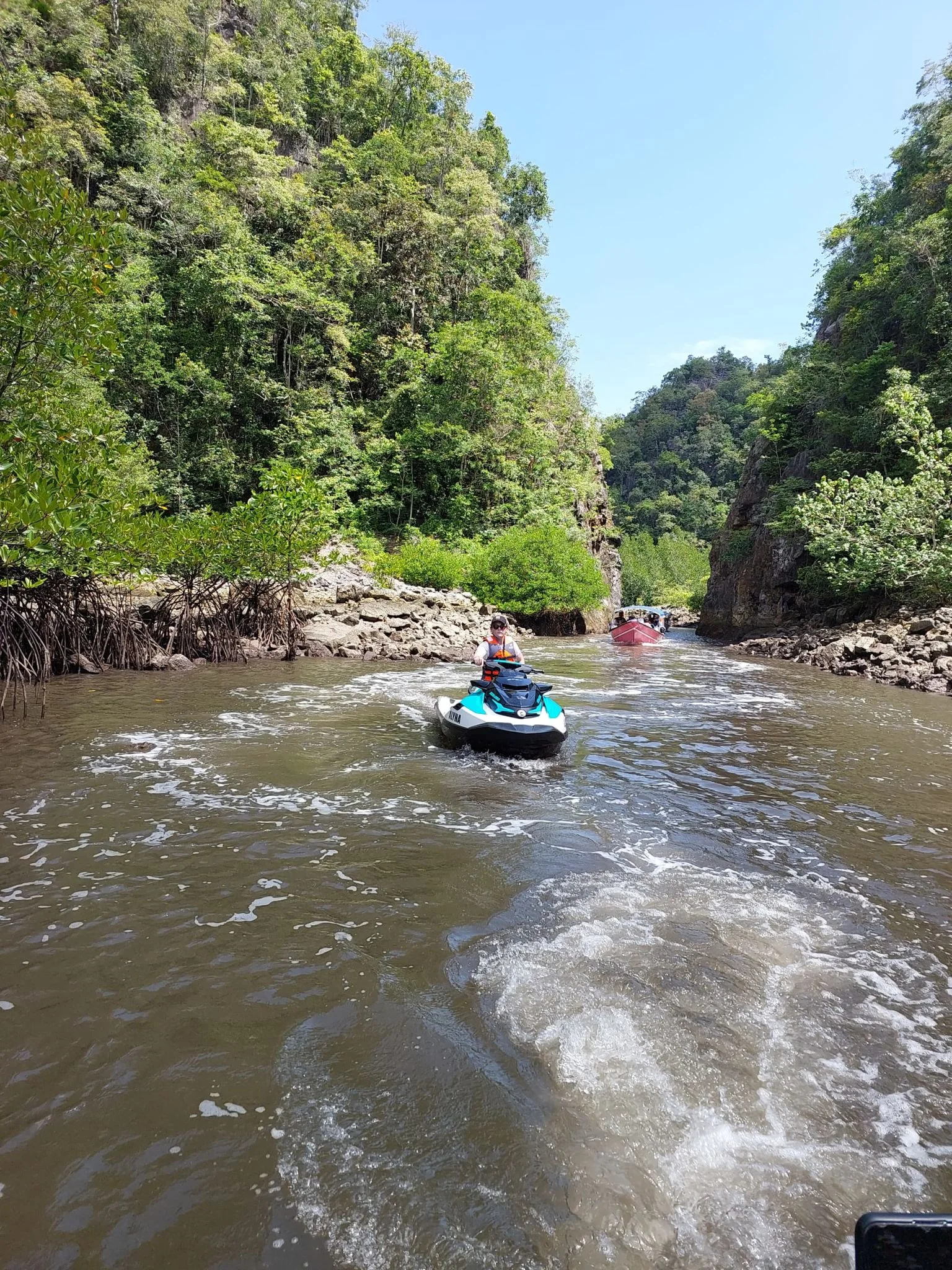 A jet ski travelling along a narrow river between trees and limestone cliffs